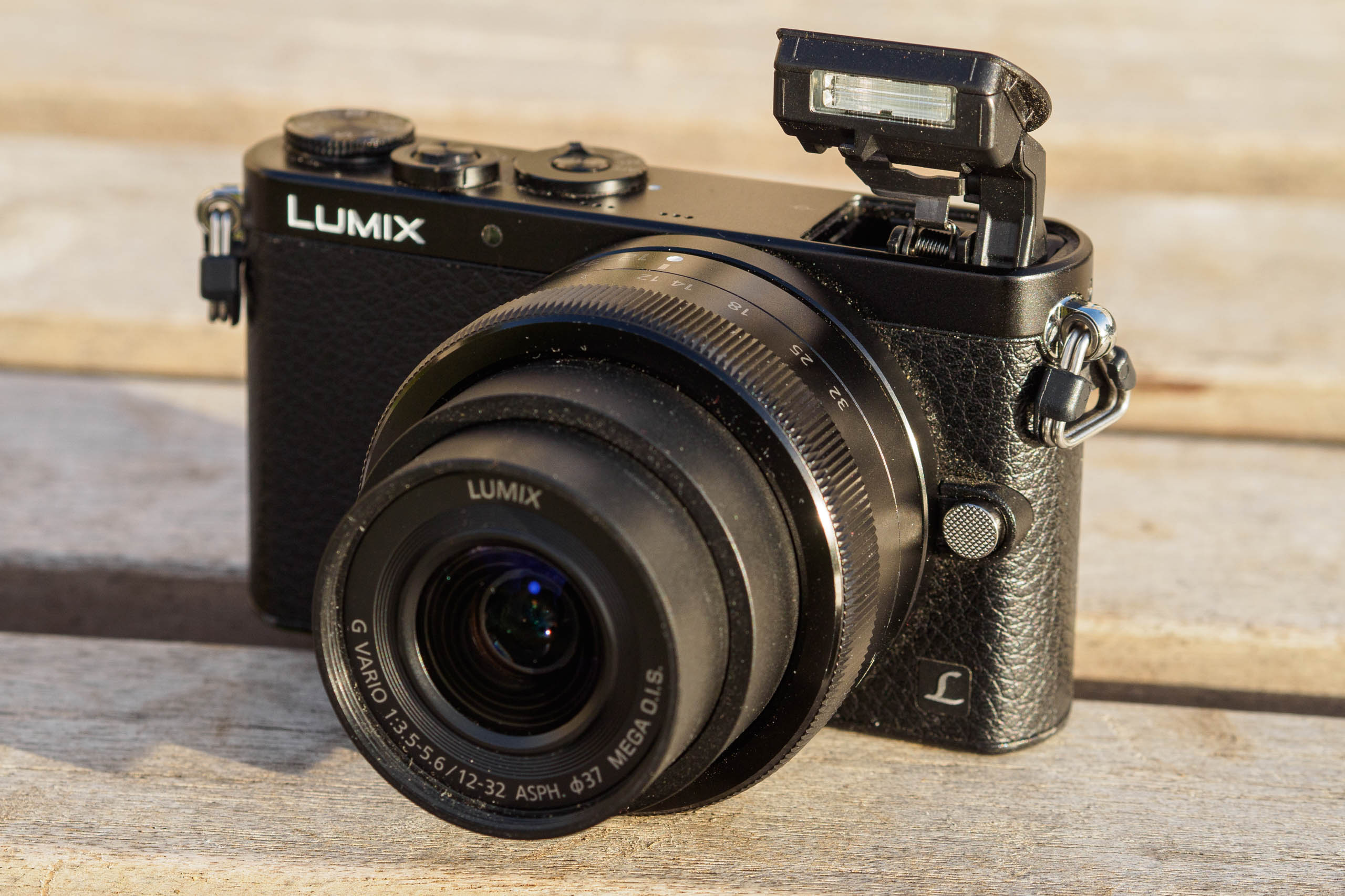 Panasonic Lumix DMC-GM1 review