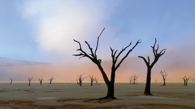 Photo Insight with David Ward - Acacia trees, Namibia | Amateur ...