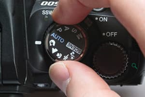 Learn to Use Your DSLR's Automatic Modes