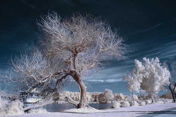 How to Shoot Infrared Photos