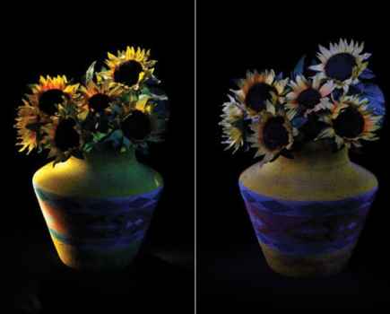 Indoor Photography - Painting by Torchlight Samples