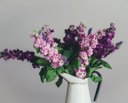 purple flowers in white jug