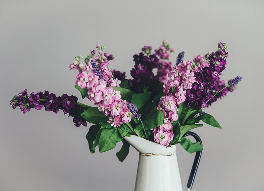purple flowers in white jug