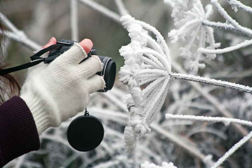 best gloves for photographers