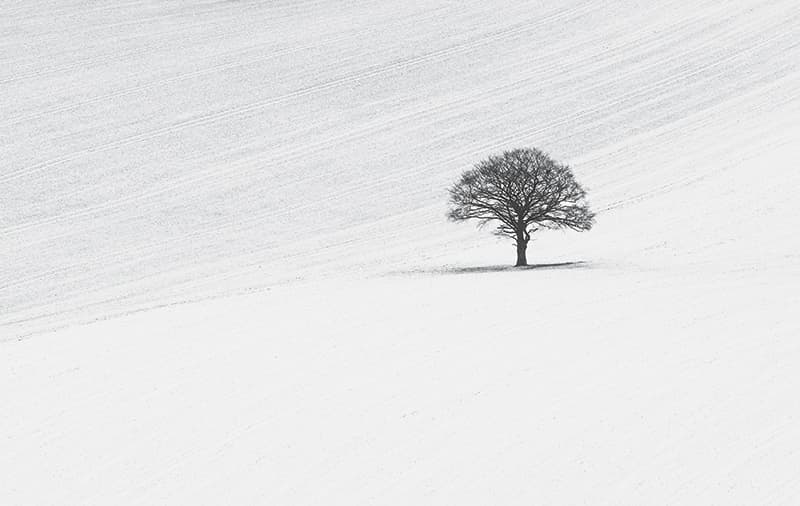 Black and white works particularly well in winter. Image: Colin Roberts