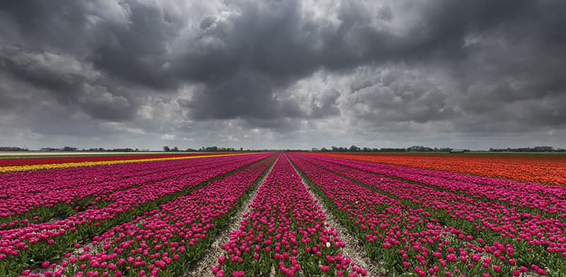 Spring Photo Tips - essential guide | Amateur Photographer
