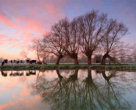 Stour Valley