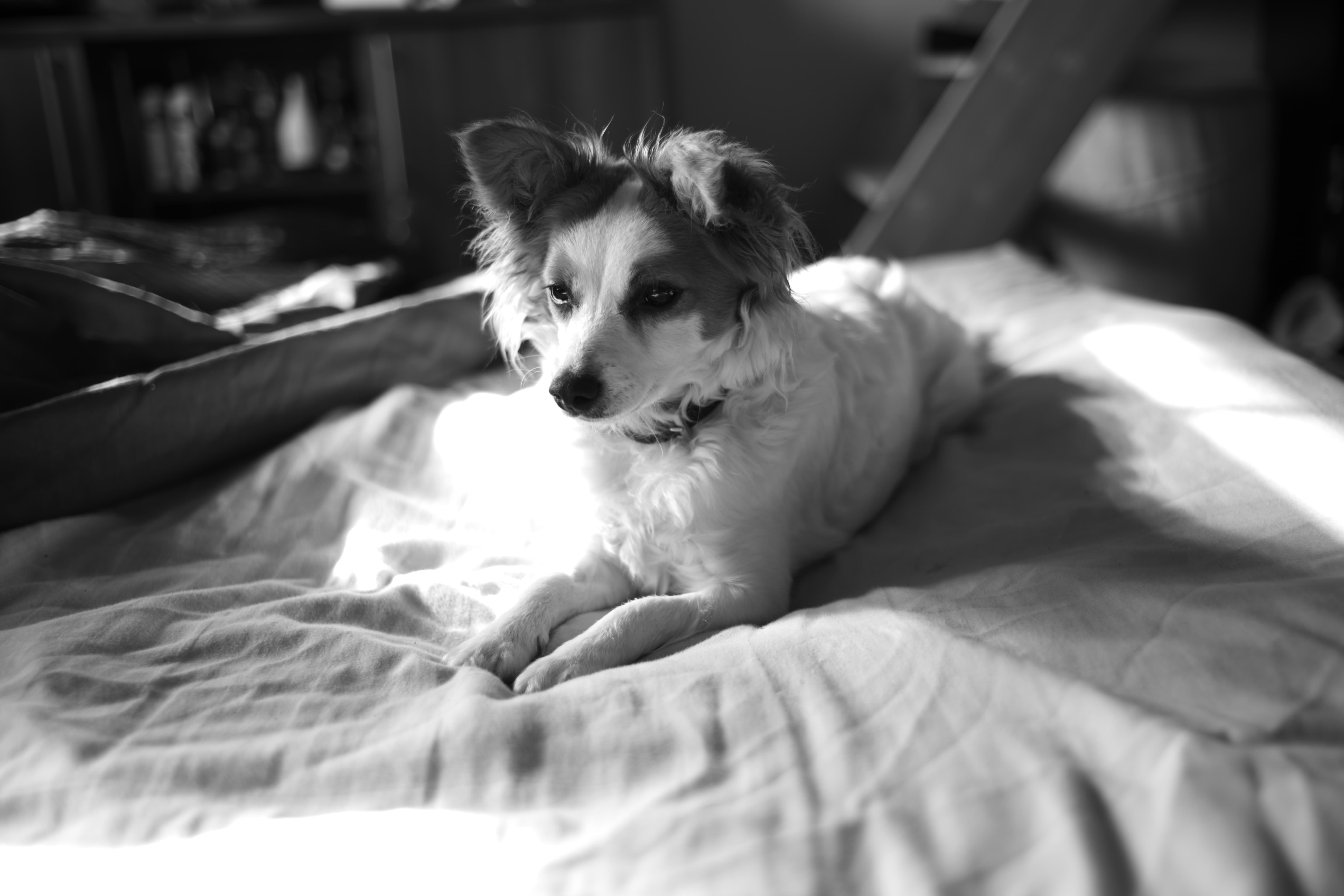 leica m10 monochrom sample photos