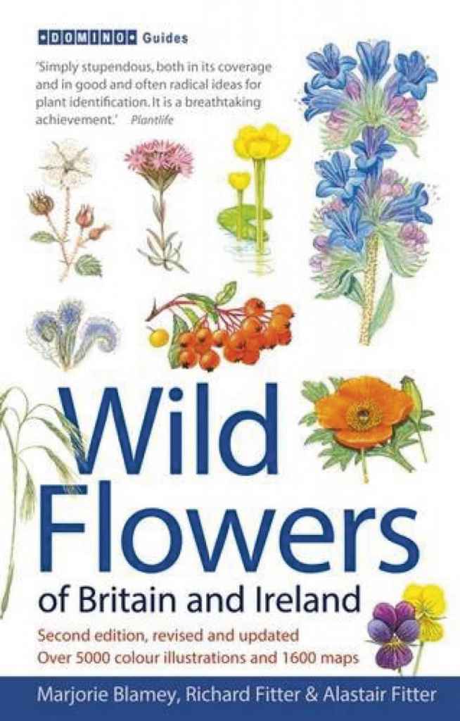 wildflowers book cover