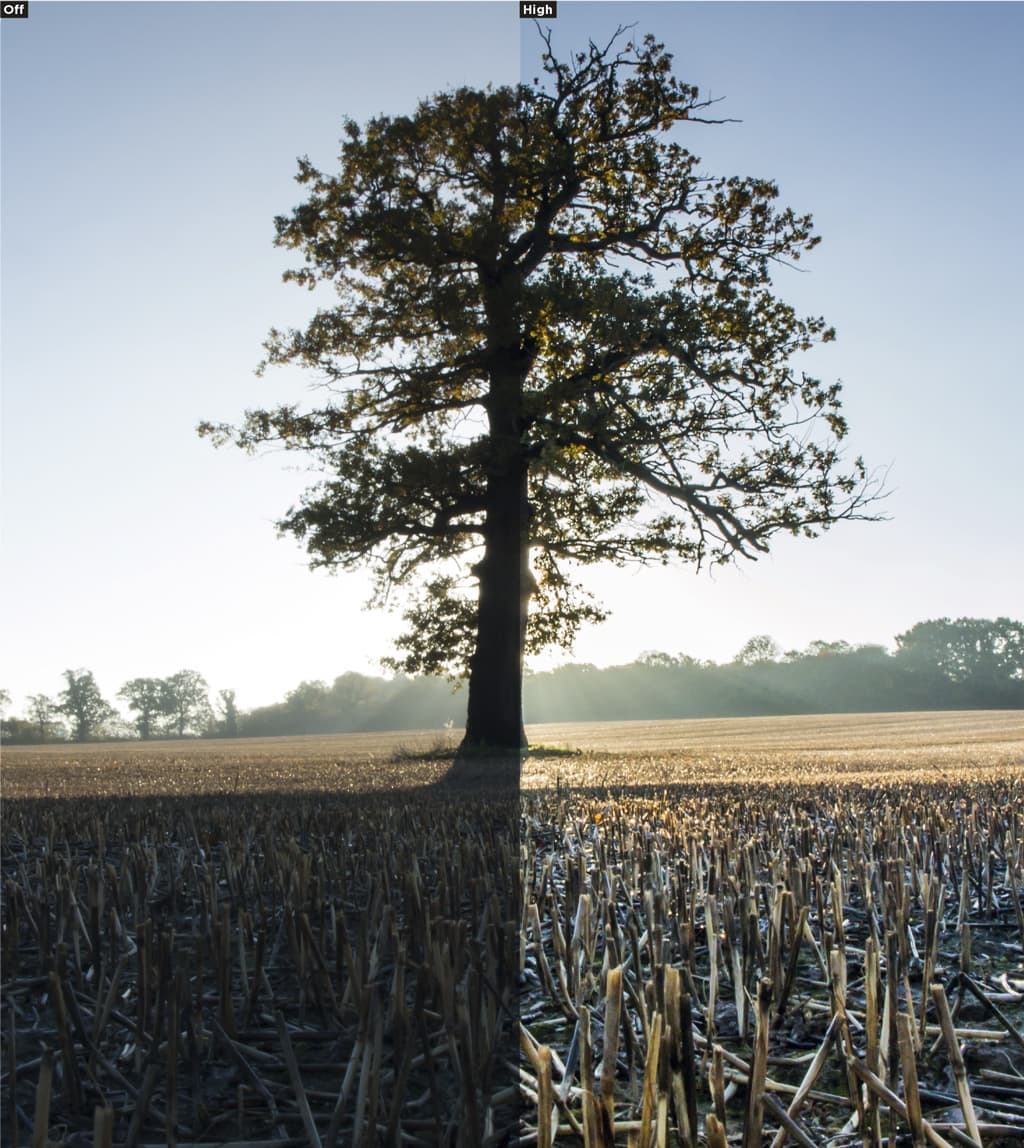 Master your camera How to get the best out of Nikon Active DLighting