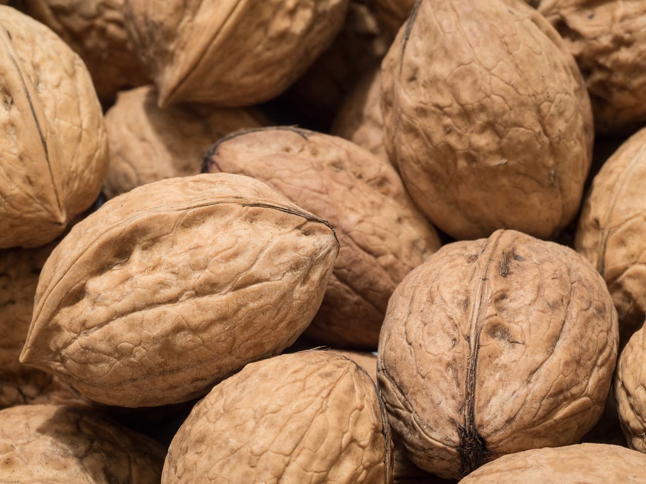 close-up of nuts christmas food