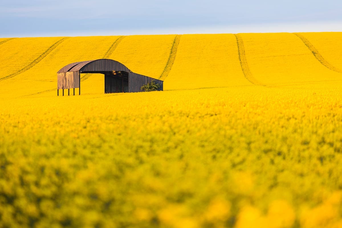 There's no rules that says you have to have front-to-back sharpness in landscapes, so don't be afraid to experiment with limited depth of field. Use the depth of field preview button to see the effect before you take the shot