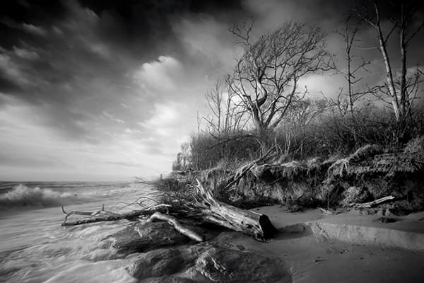  Haze is reduced and blue skies look particularly dramatic when shooting infrared