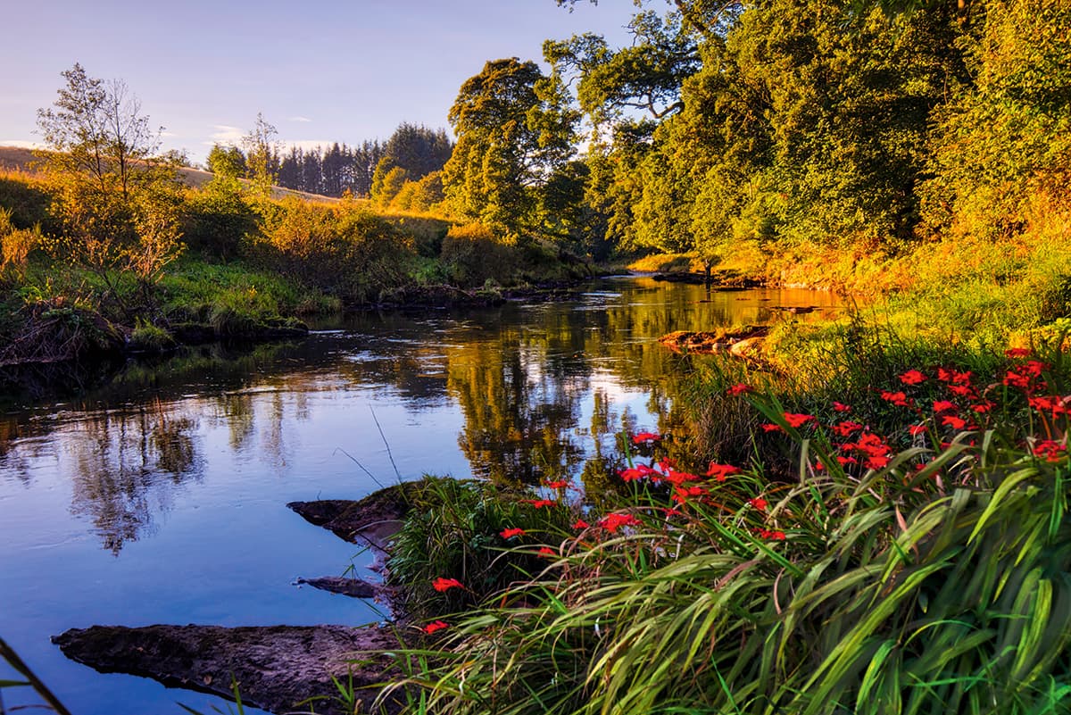 Even with a lot of tweaking, the bright yellow areas and red flowers in the foreground of the image are distracting