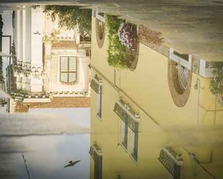 Venice-reflection-Geoff-Harris