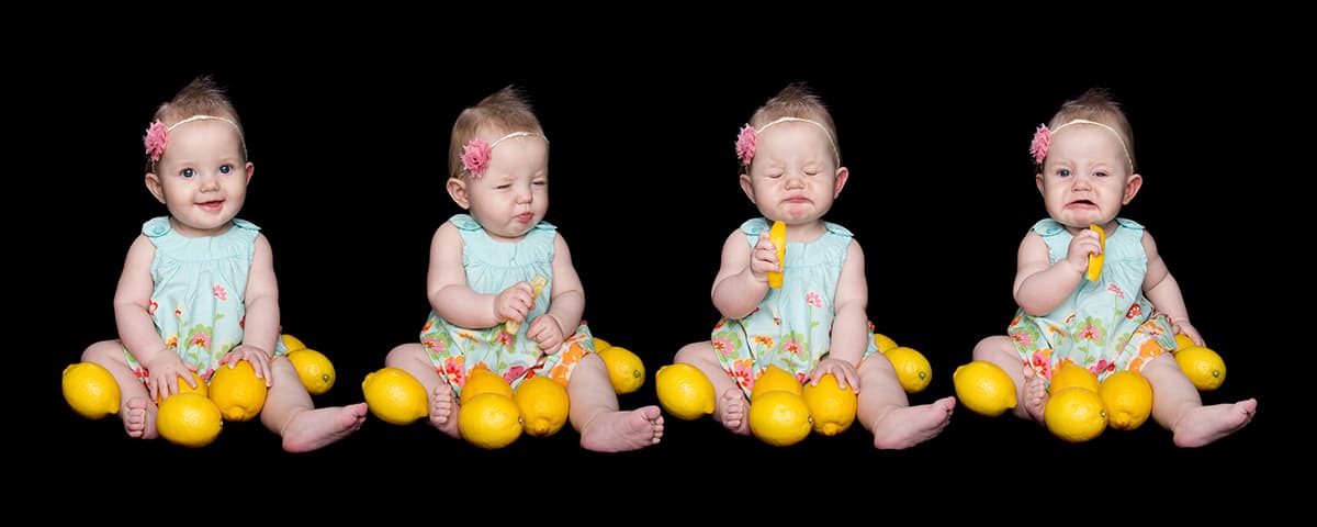 Lemon Babies, where babies discover citrus fruit is hugely popular