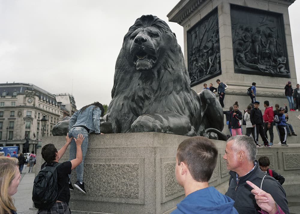 marc fairhurst lion in trafalgar square