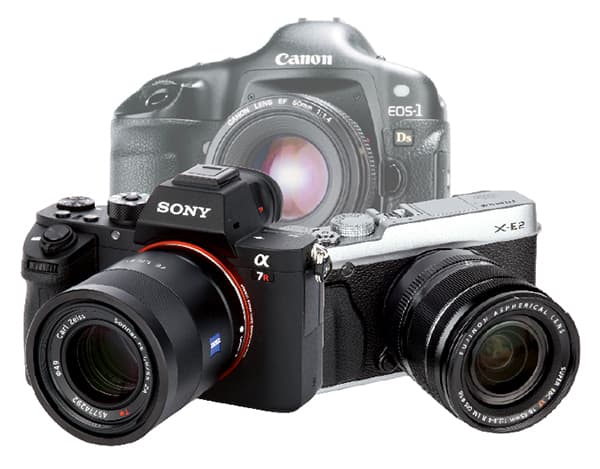 Switching from Canon to the Sony Alpha A7 IV - Amateur Photographer