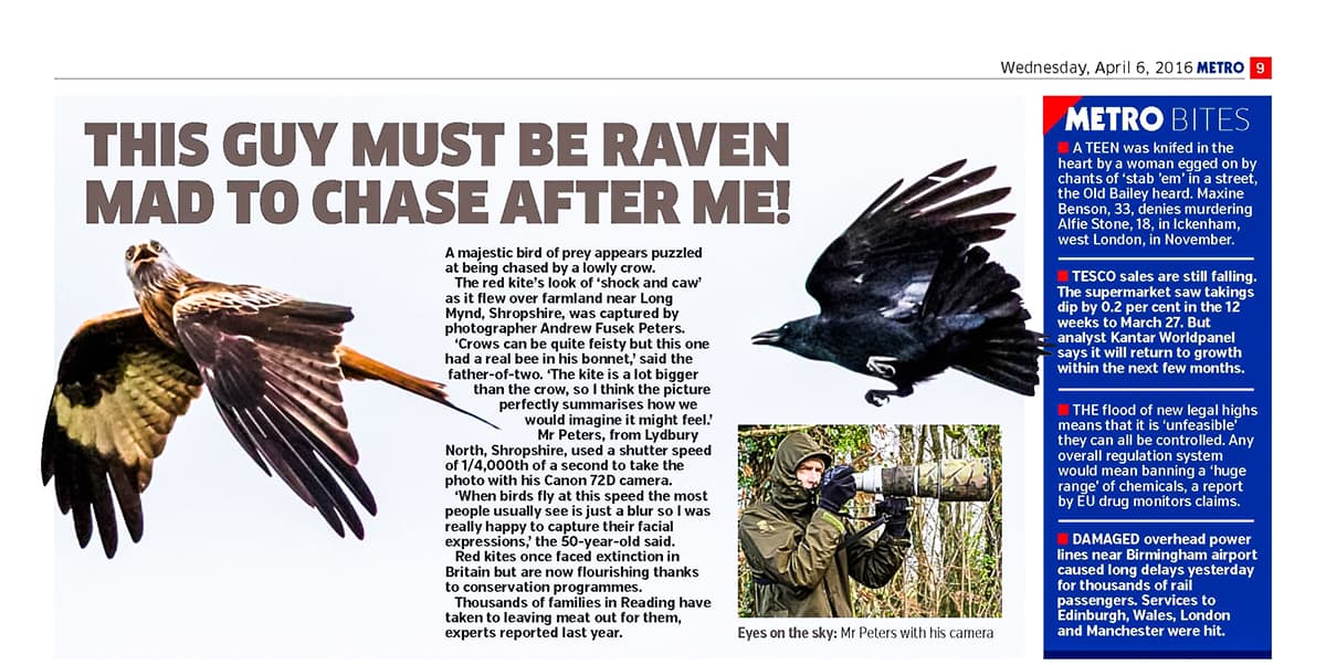 You're unlikely to sell a wildlife shot alone to the papers unless there's a story behind it, or it's quirky