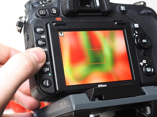 Expert guide to manual focus photography - Amateur Photographer