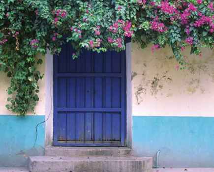 photographing doors