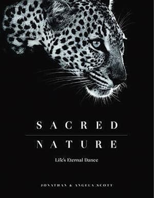 Sacred Nature cover