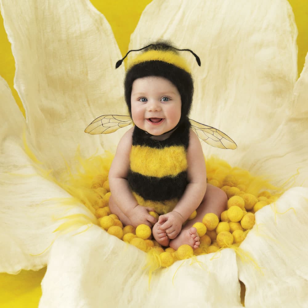 Small World by Anne Geddes - baby as bee