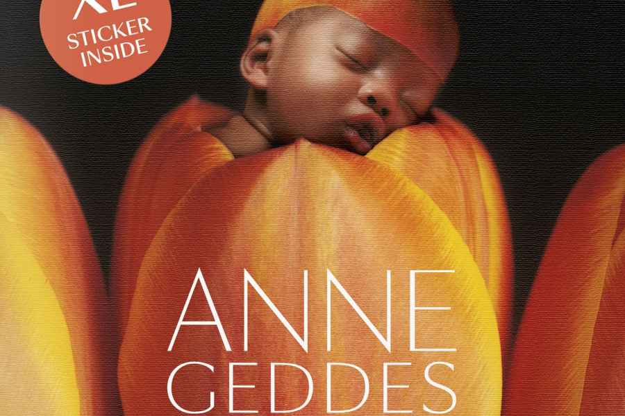 Anne Geddes Small World small cover