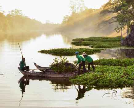 Nikon D5500 - Field workers, Siem Reap. Image: Matt Golowczynski