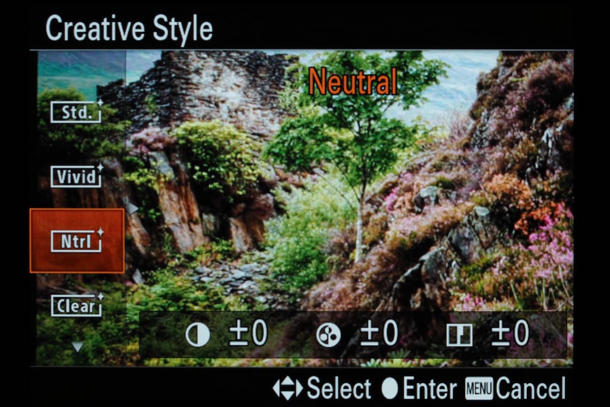 setting picture style sony a7