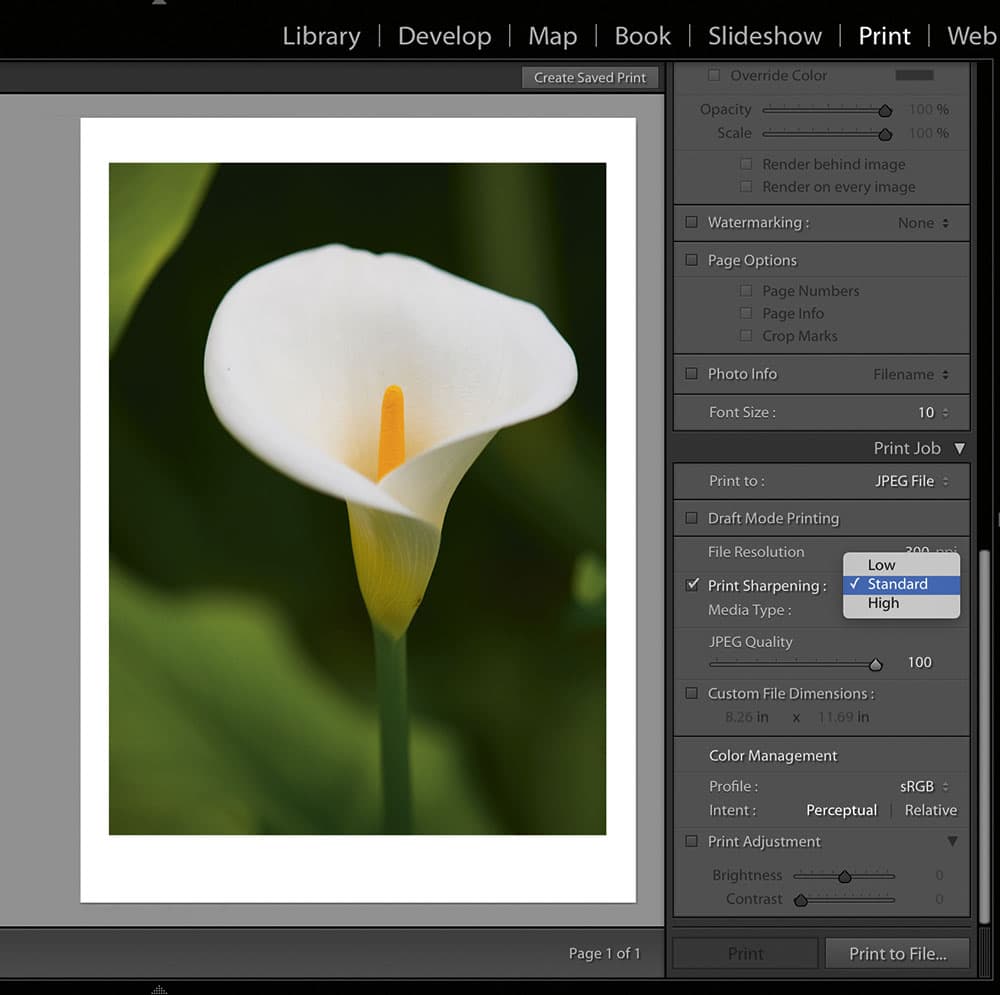 lightroom tips tip19 Sharpen for print