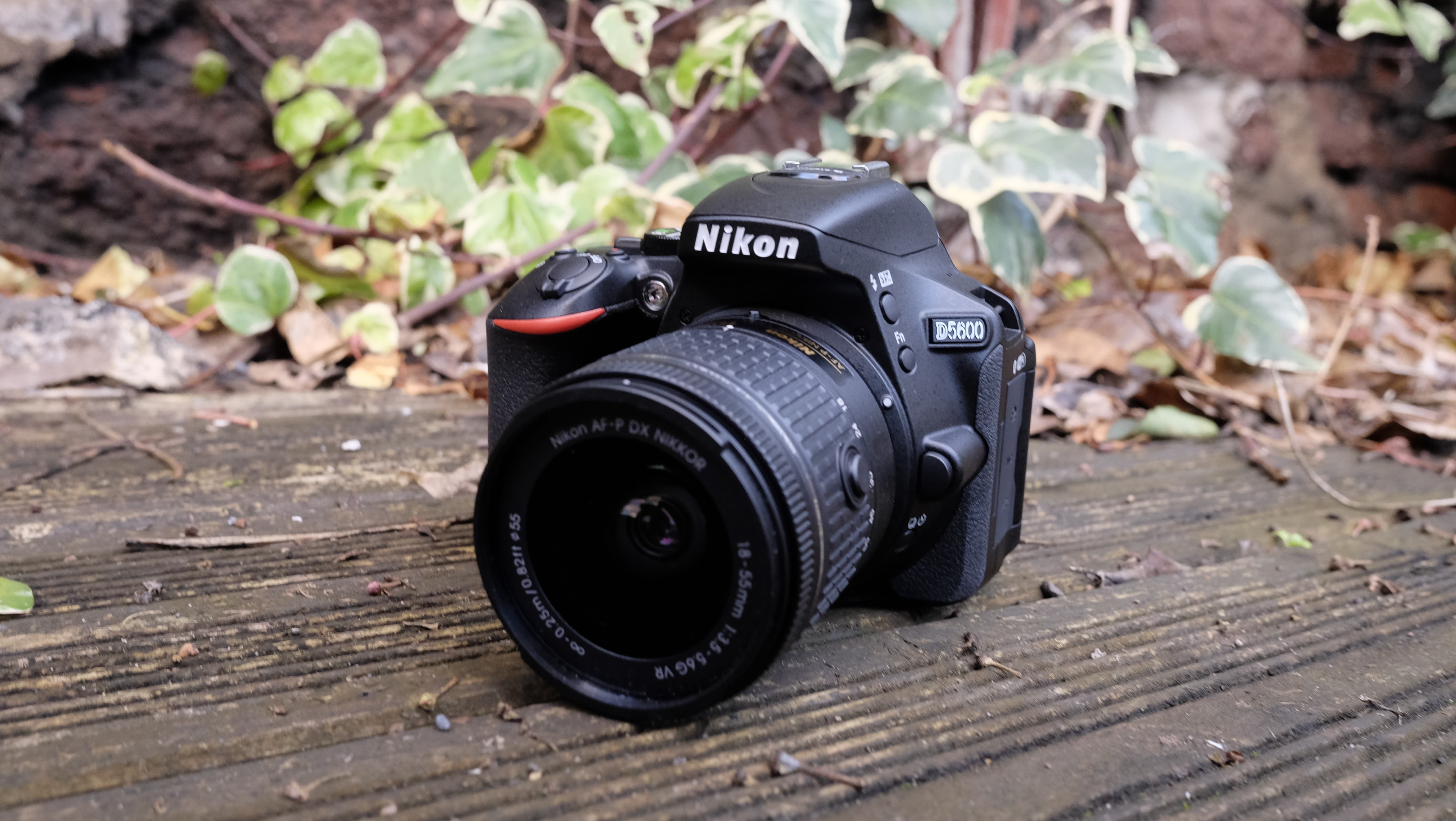 Nikon D5600 Review