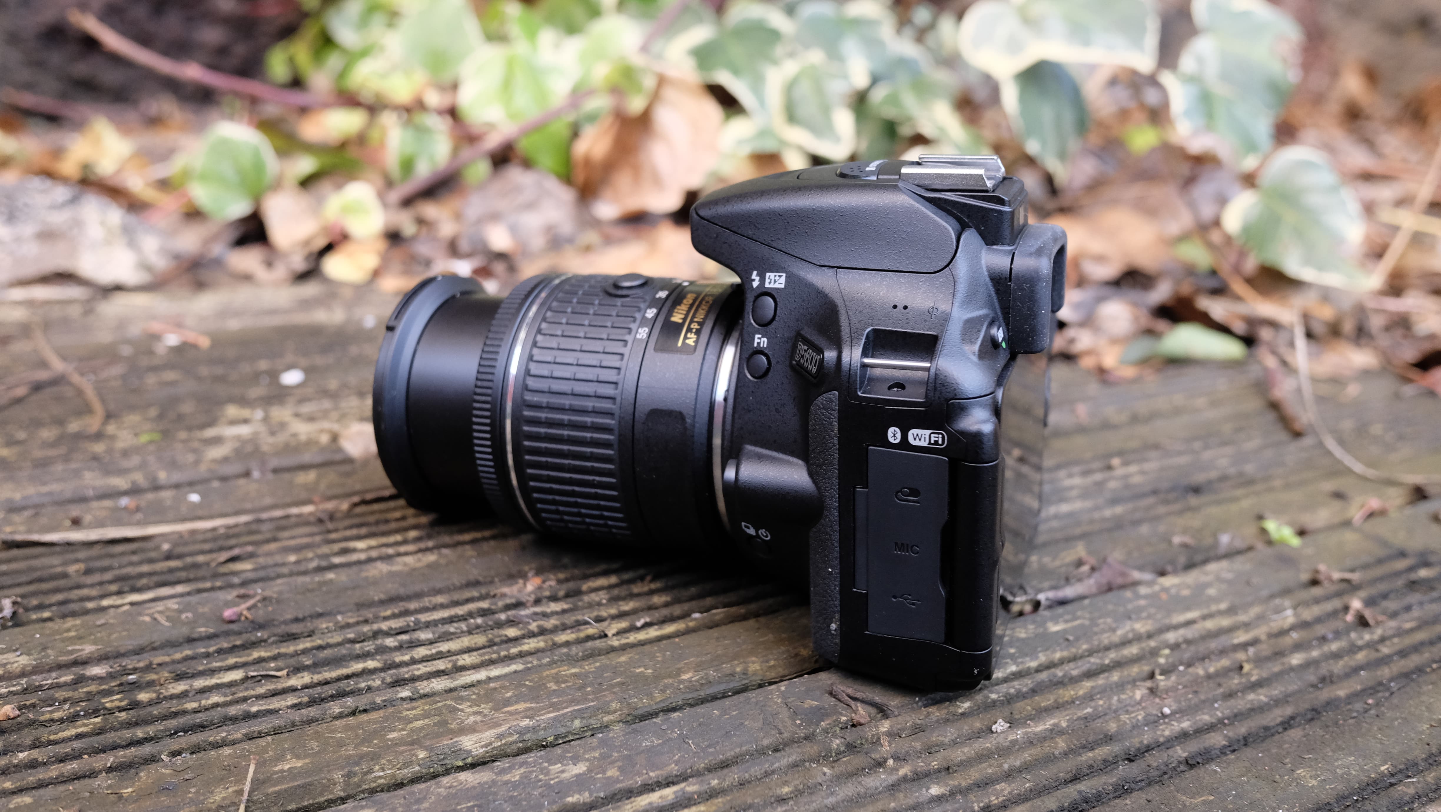 Nikon deals d5600 review