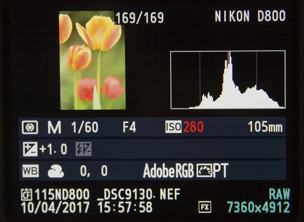 shooting raw histogram