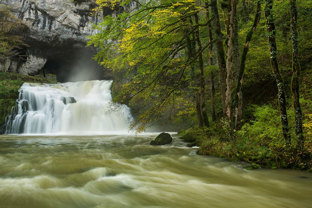 Lison Diffuse top lighting is perfect for shooting woodland and water.