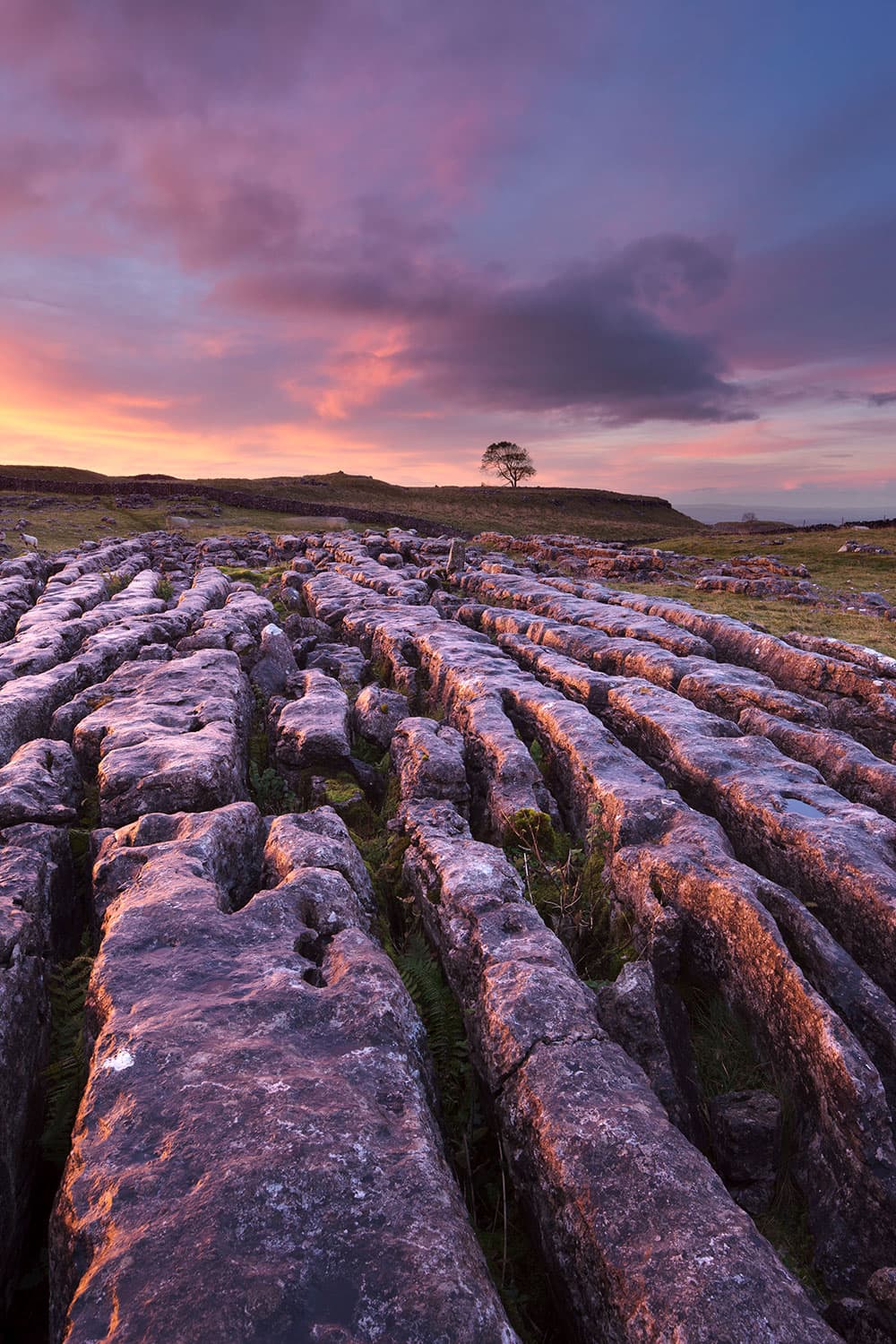 Outdoor light Malham Moor