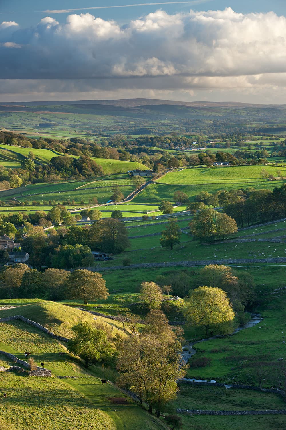 Late-afternoon cross lighting reveals all of the detail and form in the landscape at Malham in the Yorkshire Dales.