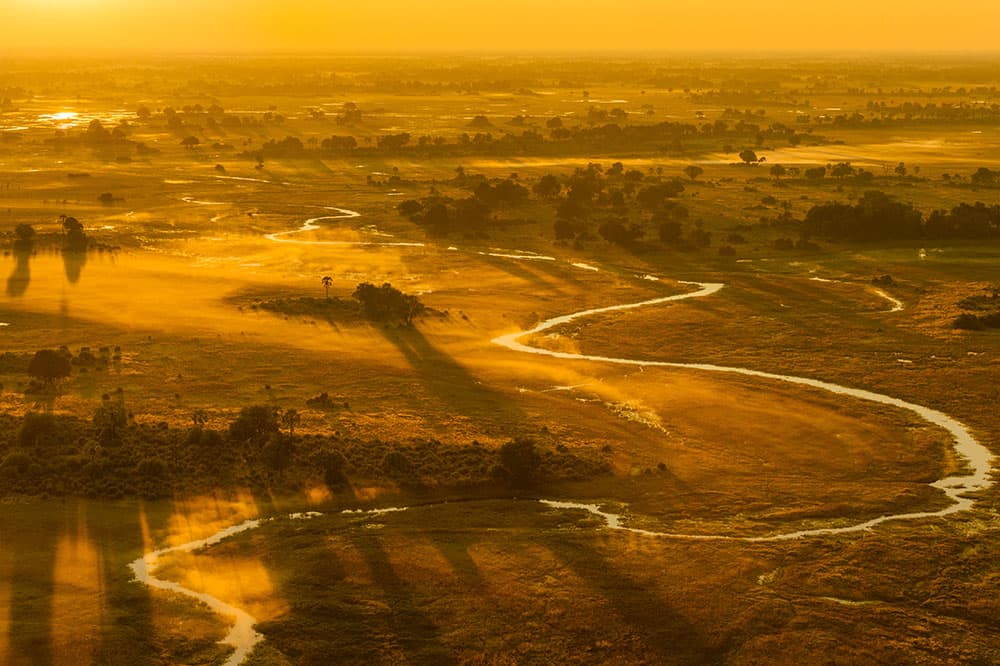 Into Africa Okavango Delta, Botswana