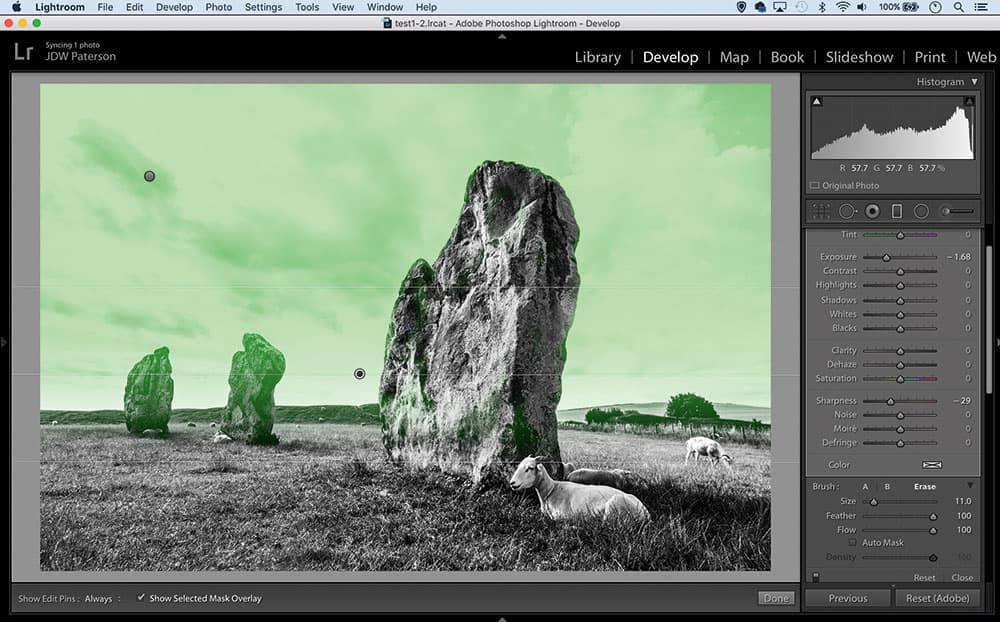 Lightroom tools precision painting