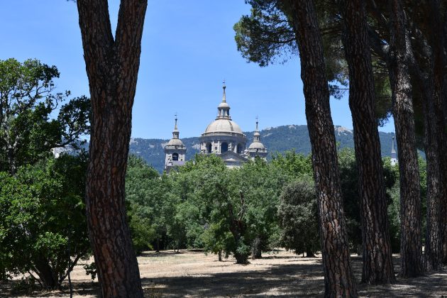 Nikon D7500 sample image, a line of trees, behind them a palace surrounded by a small forest, mountains in the background
