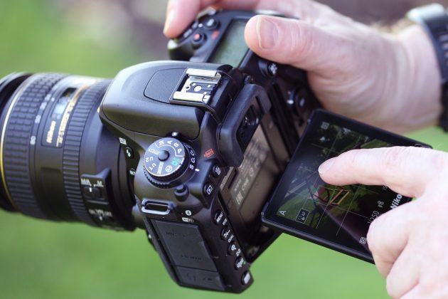 Nikon D7500 Review: A Realistic Field Test for Wildlife Photographers -  Nature TTL