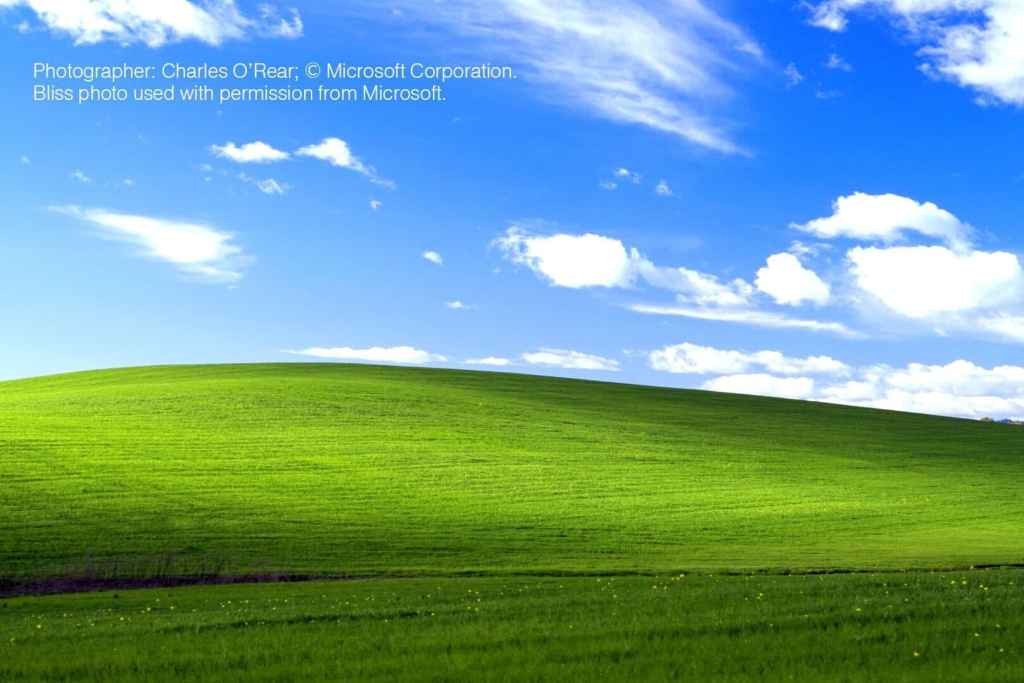 Most viewed picture - the Microsoft version