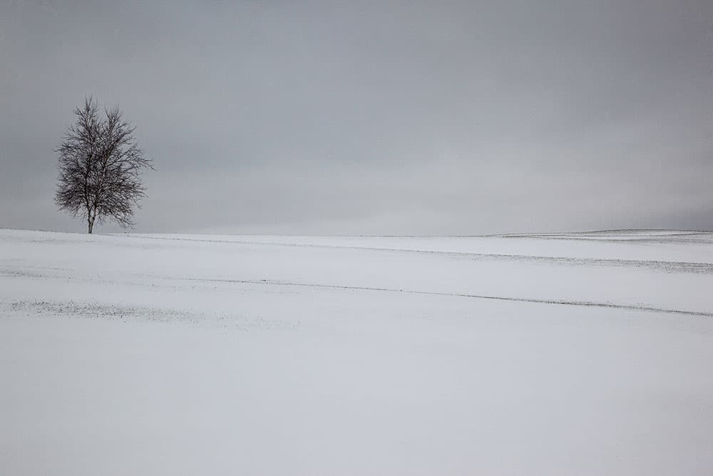 Minimalist landscape in snow