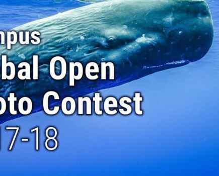 Global Open Photo Contest