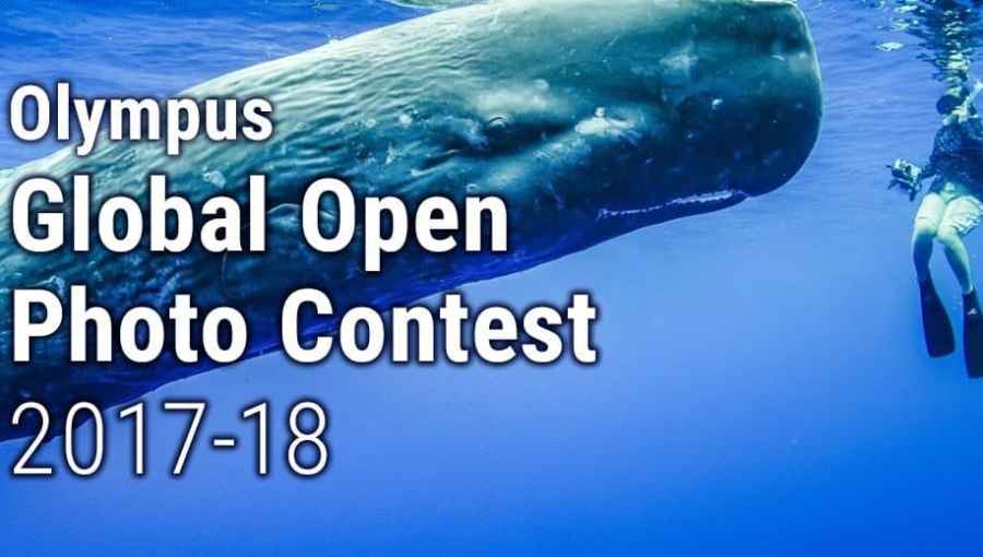 Global Open Photo Contest