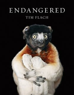 Endangered Cover