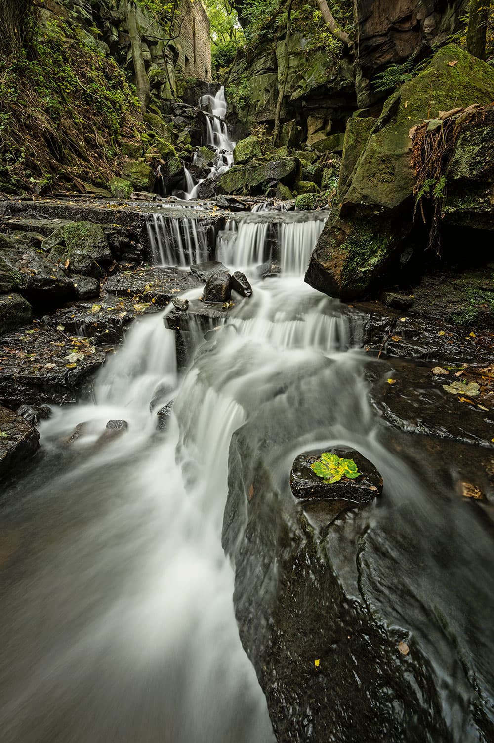 Tripods When and why use a tripod