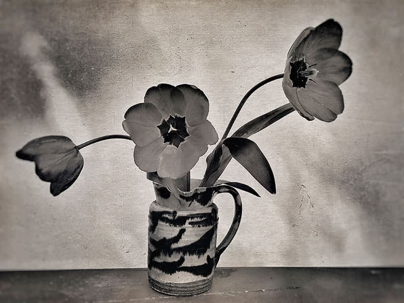 still-life flowers