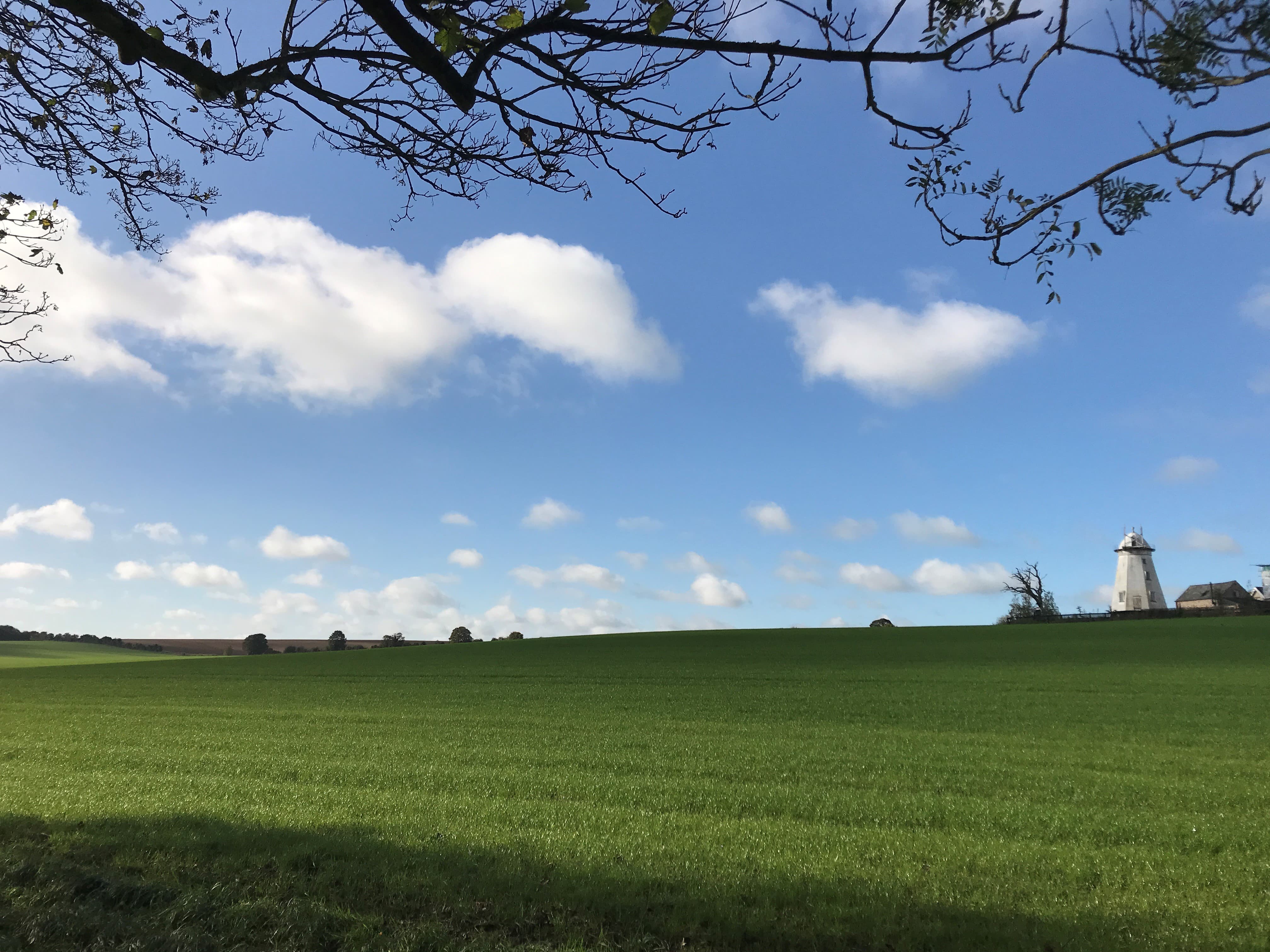 A pleasant pastoral scene by Matt Hancock, Secretary of State for Digital, Culture, Media and Sport 