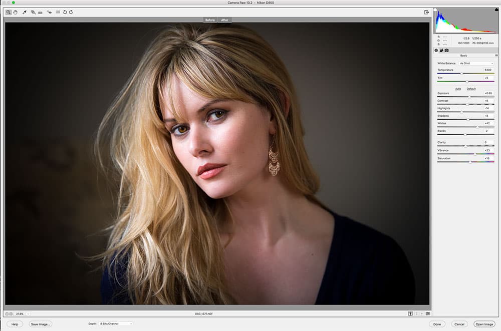 Photoshop Elements basics panel